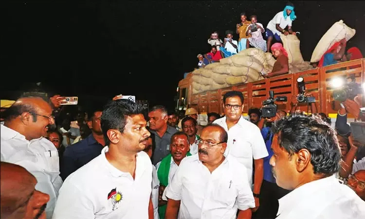 imgi_7_44522801-pady